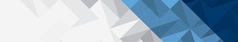 Metonil kapsułki na stawy stosowanie